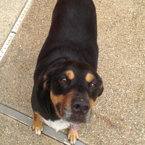 Meet your Posher, Jan